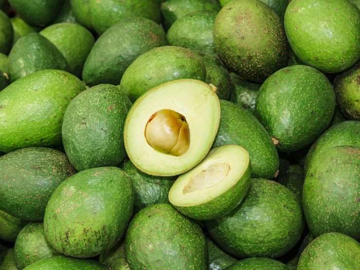 avocado benefici rischi